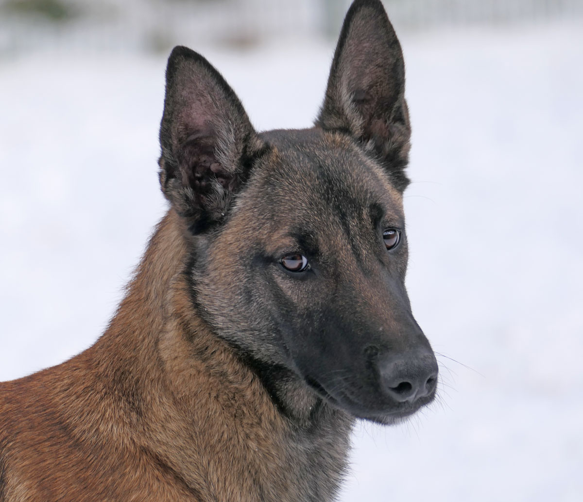 neues Foto April 2026