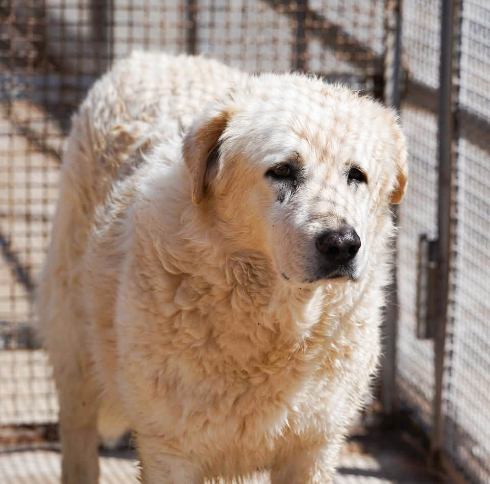 neues Foto April 2026