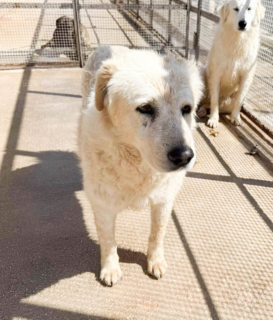 neues Foto April 2026