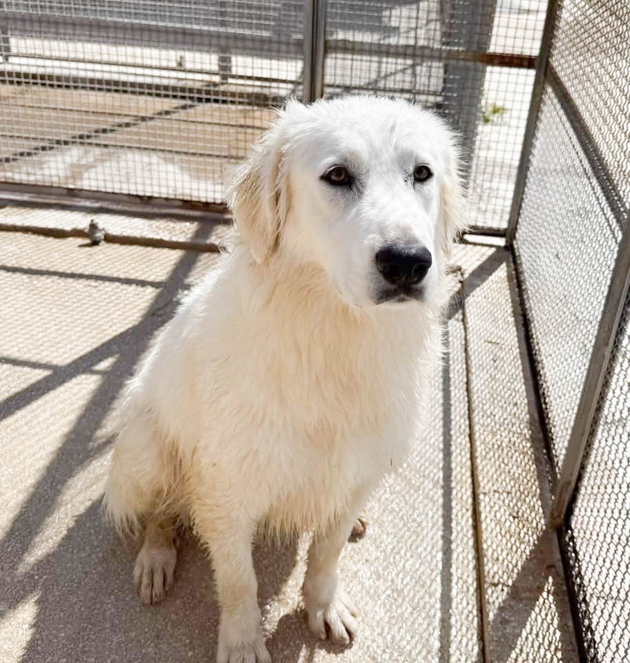 neues Foto April 2026