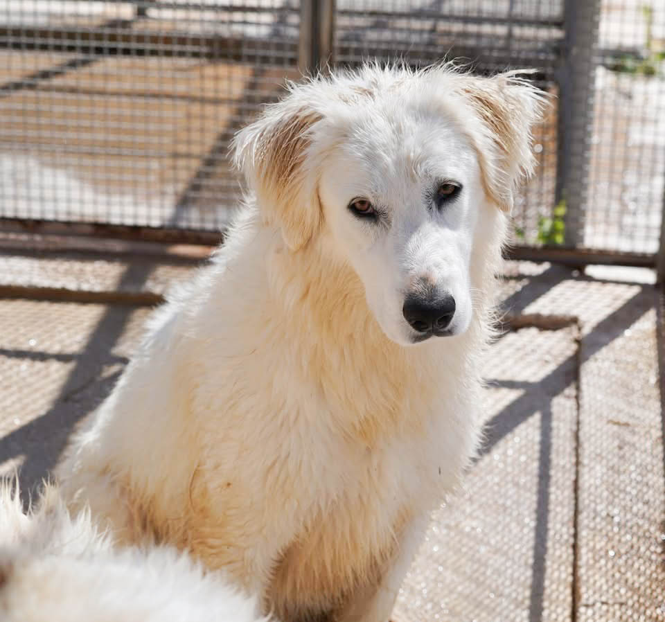 neues Foto April 2026