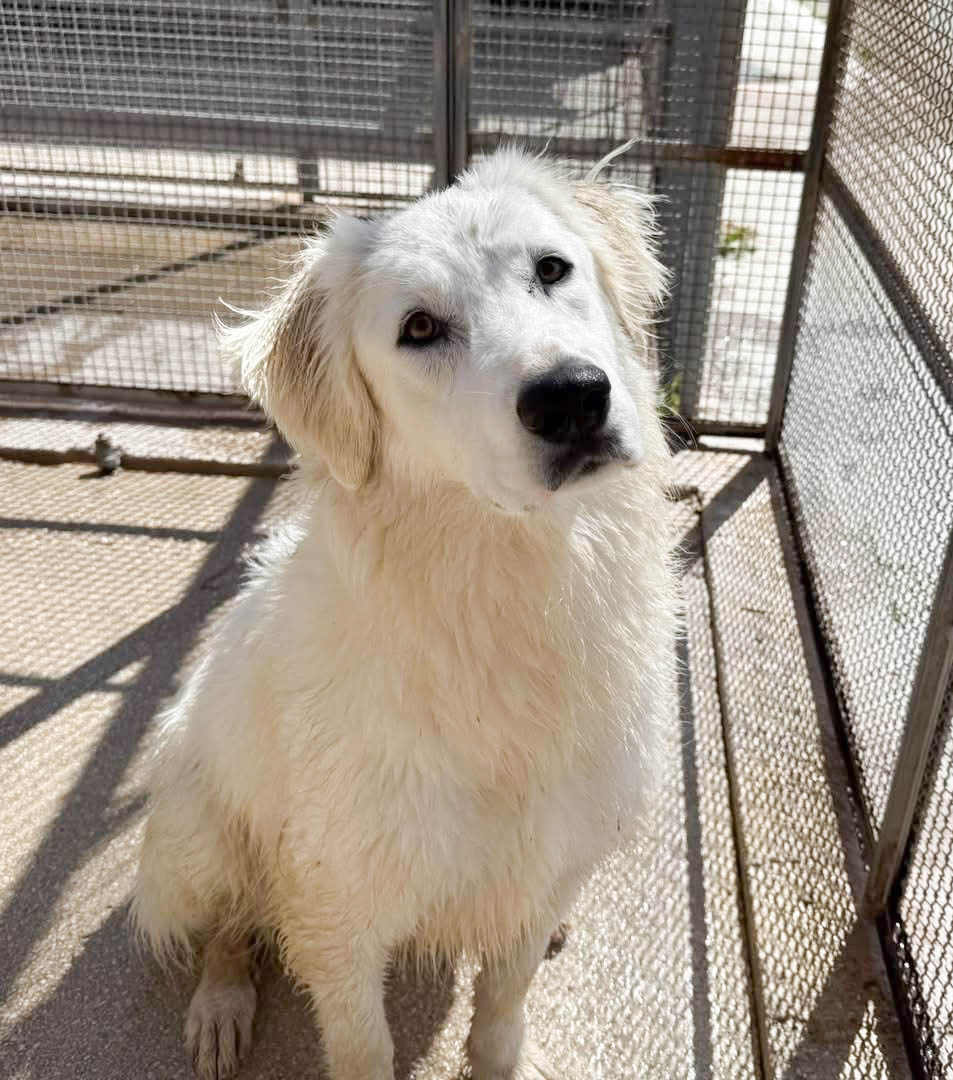 neues Foto April 2026