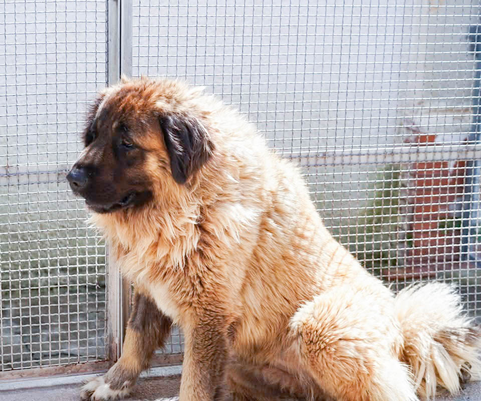 neues Foto April 2026