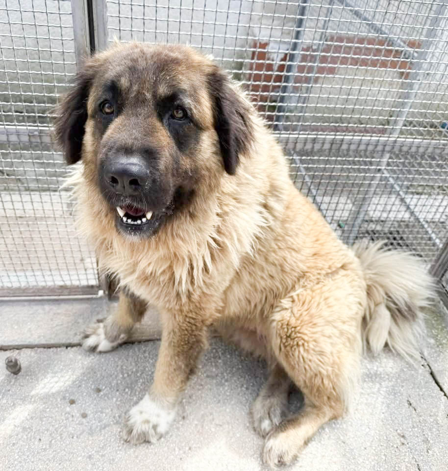 neues Foto April 2026