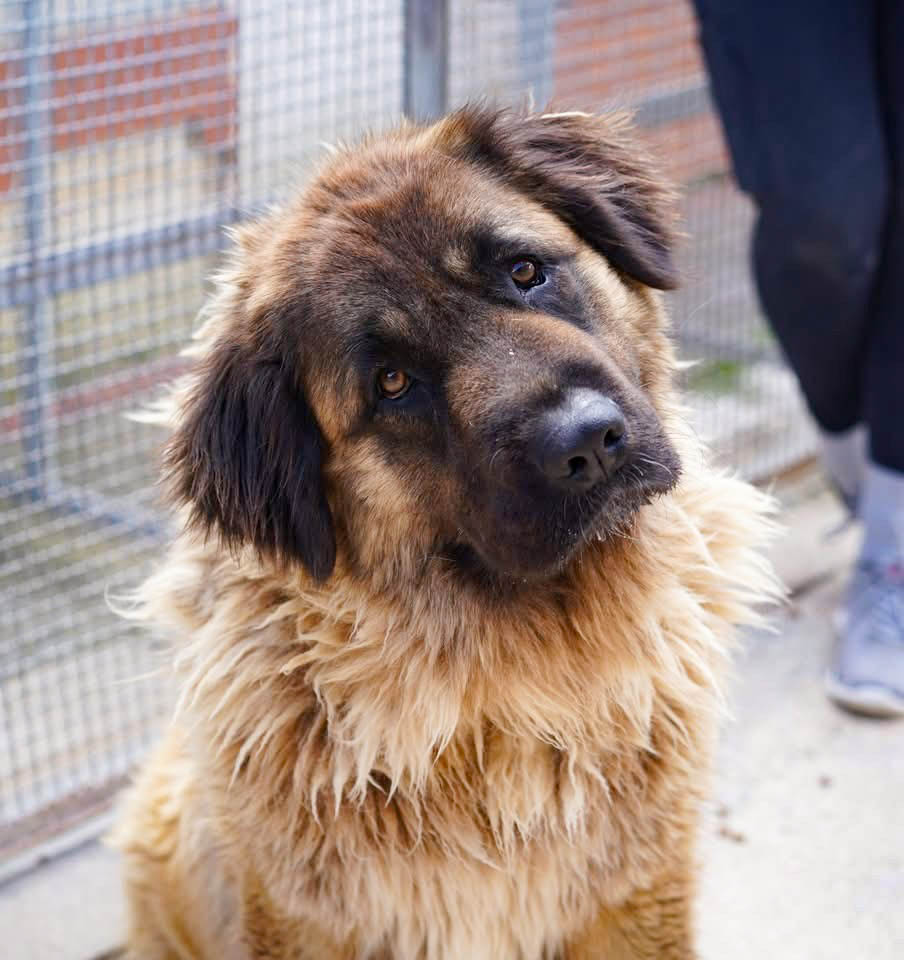 neues Foto April 2026