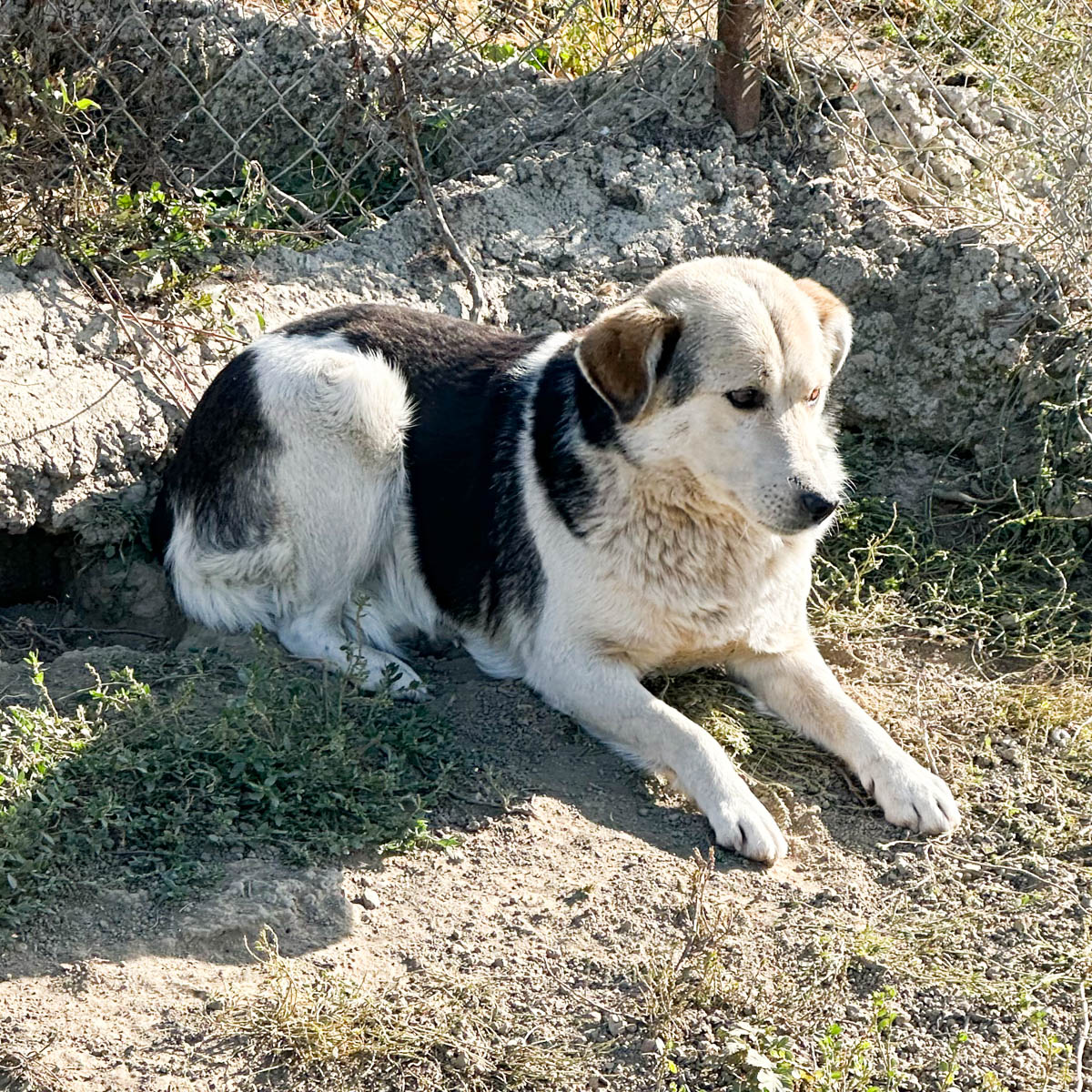 neues Foto April 2026