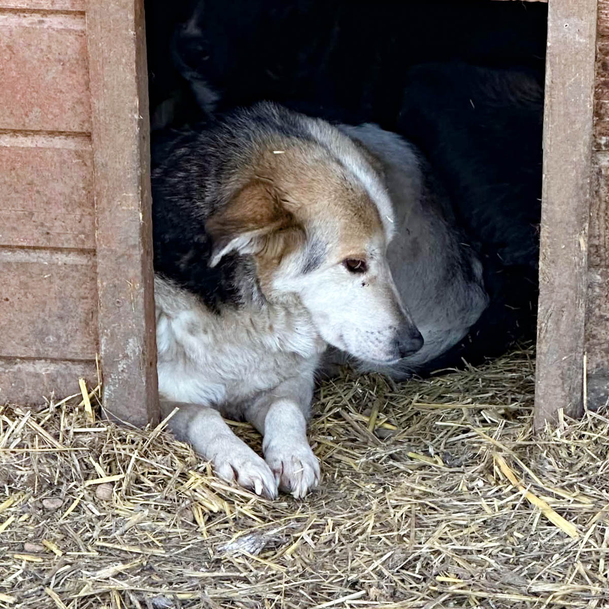 neues Foto April 2026