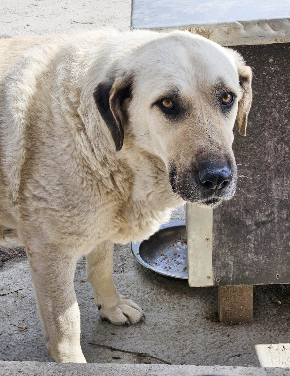 neues Foto April 2026