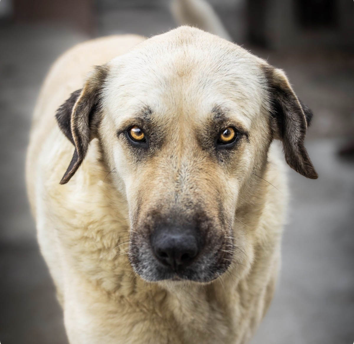 neues Foto April 2026