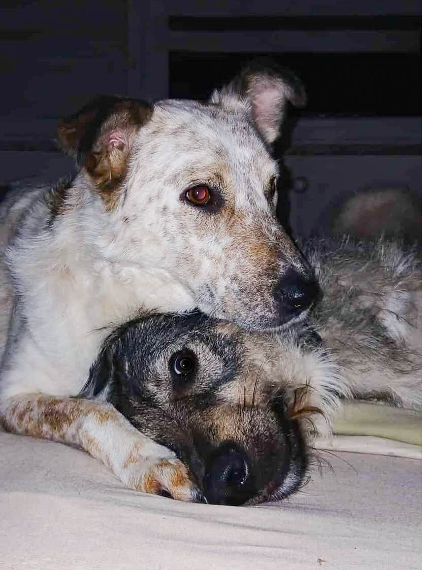 neues Foto April 2026