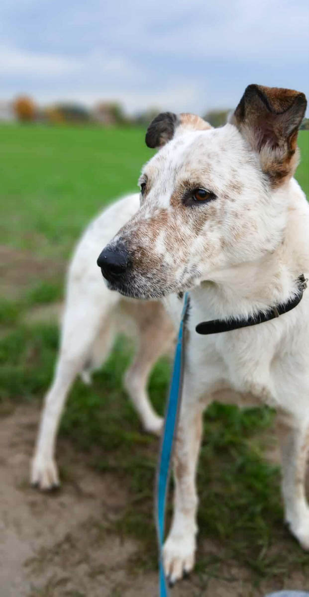 neues Foto April 2026