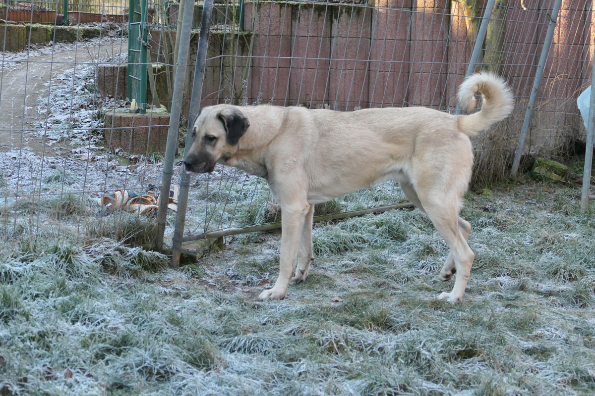 neues Foto April 2026