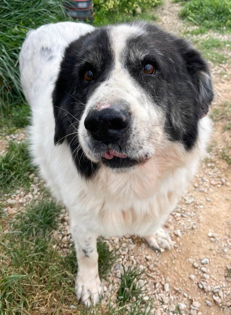 neues Foto April 2026