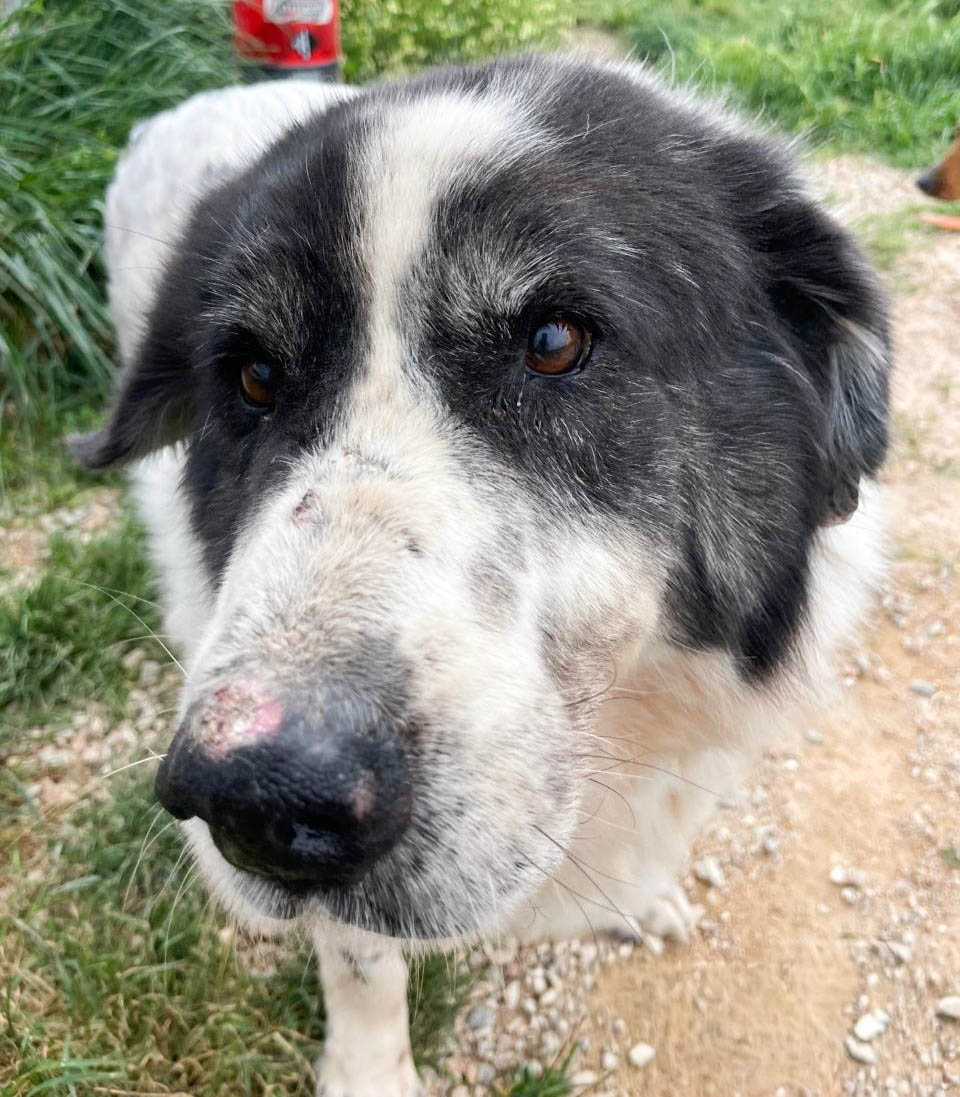 neues Foto April 2026