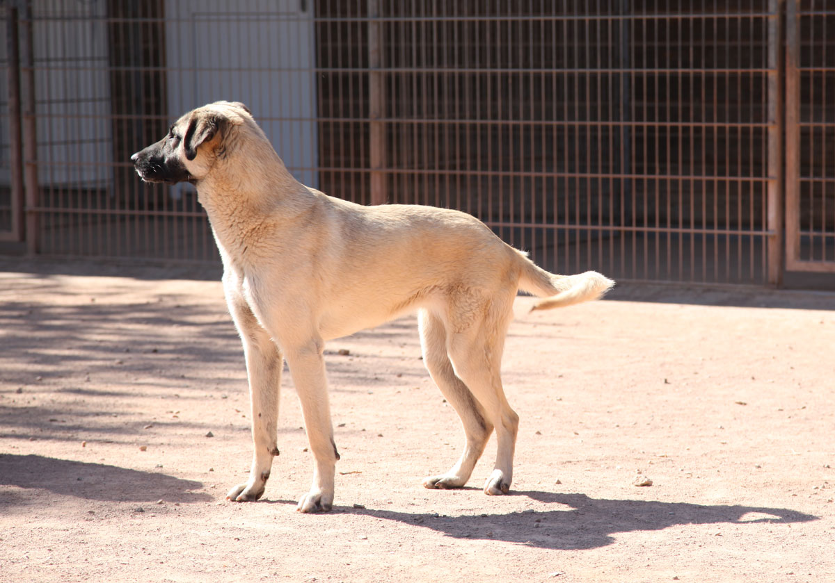 neues Foto April 2026