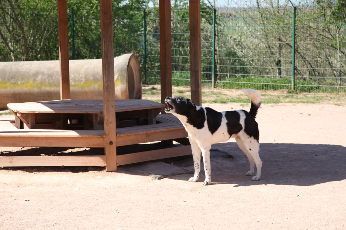 neues Foto April 2026