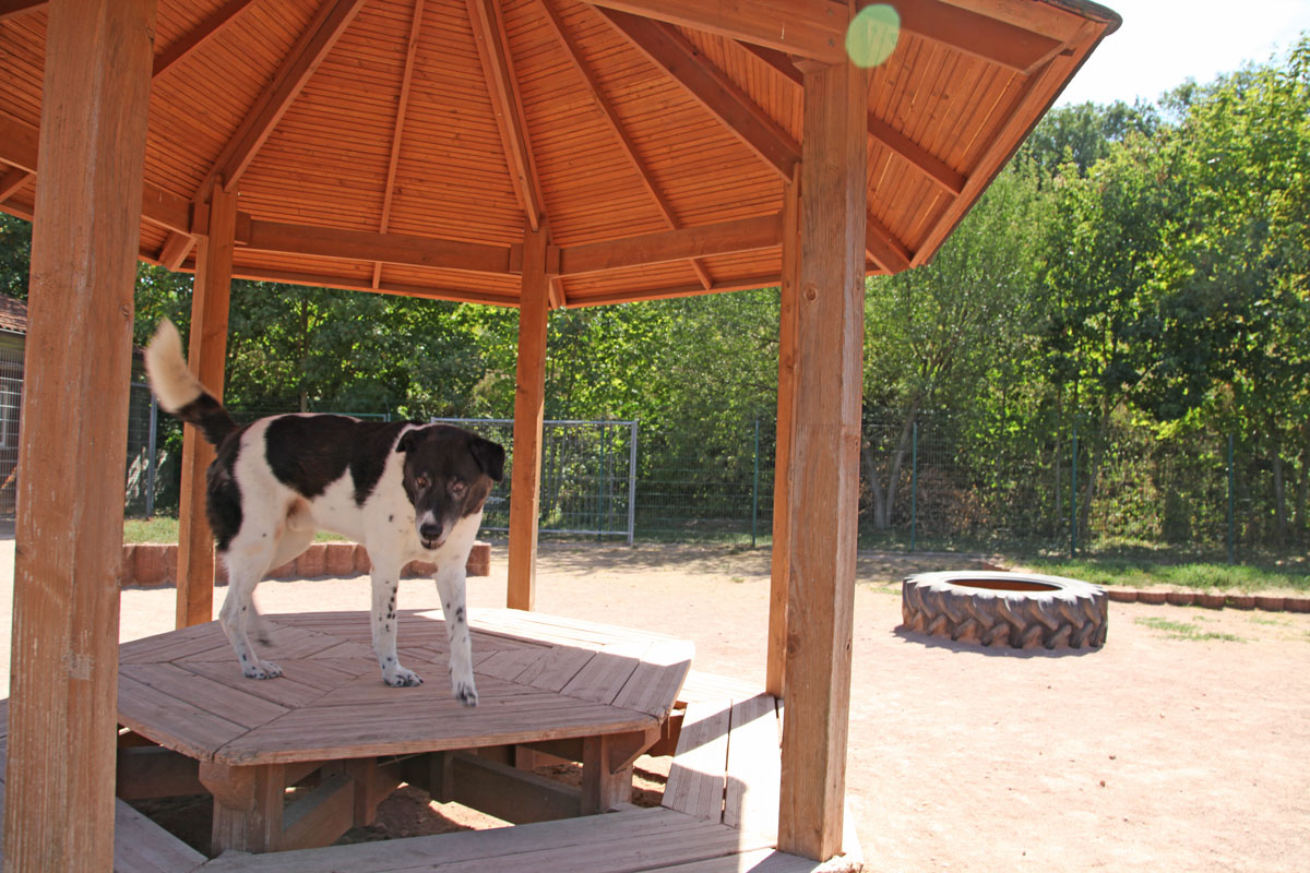 neues Foto April 2026