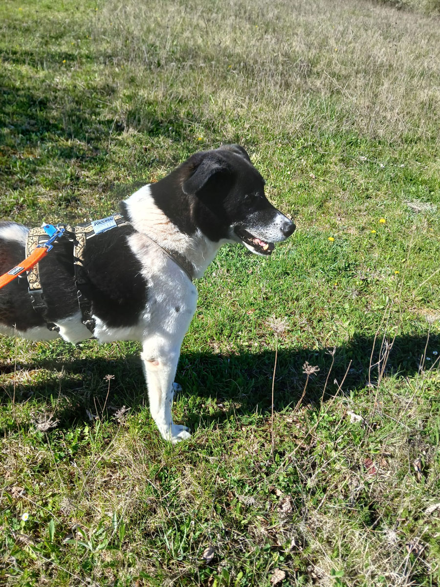 neues Foto April 2026