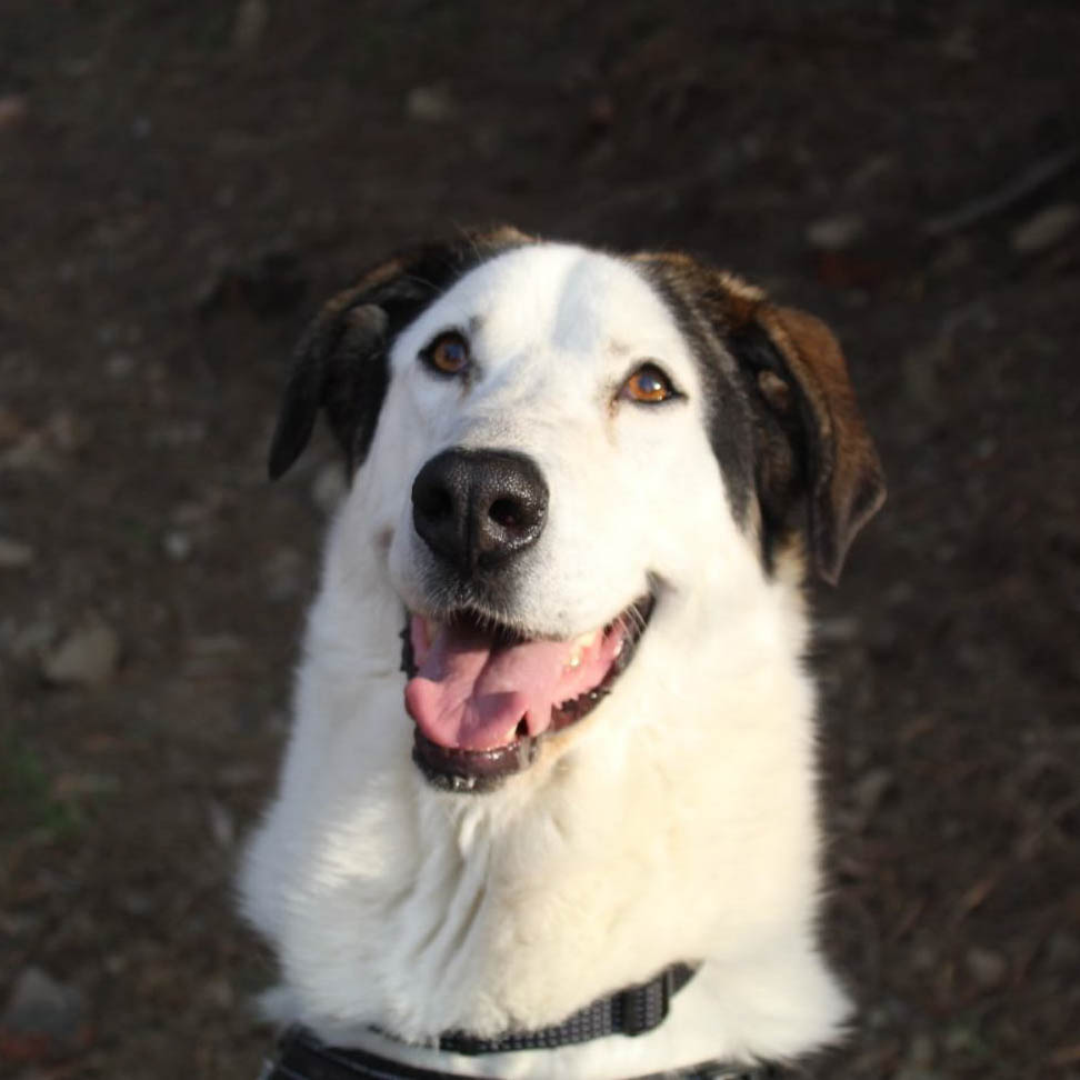 neues Foto April 2026