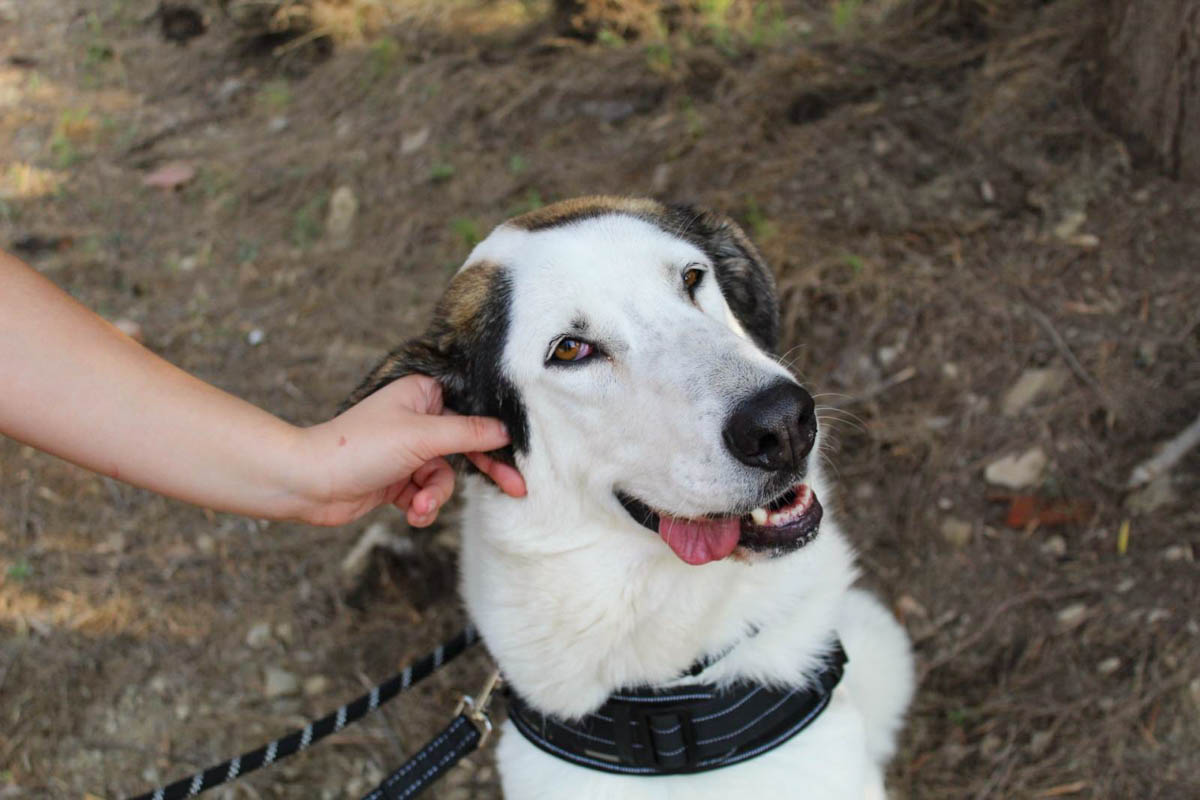 neues Foto April 2026