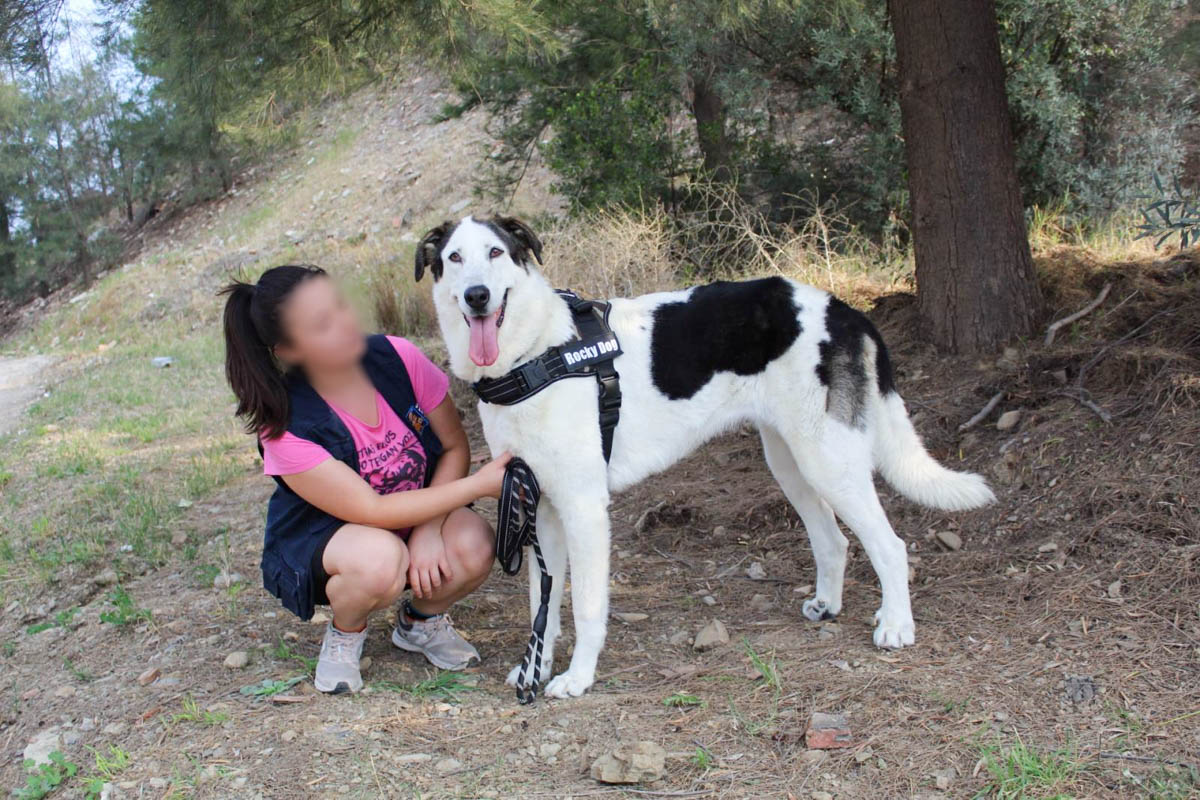 neues Foto April 2026