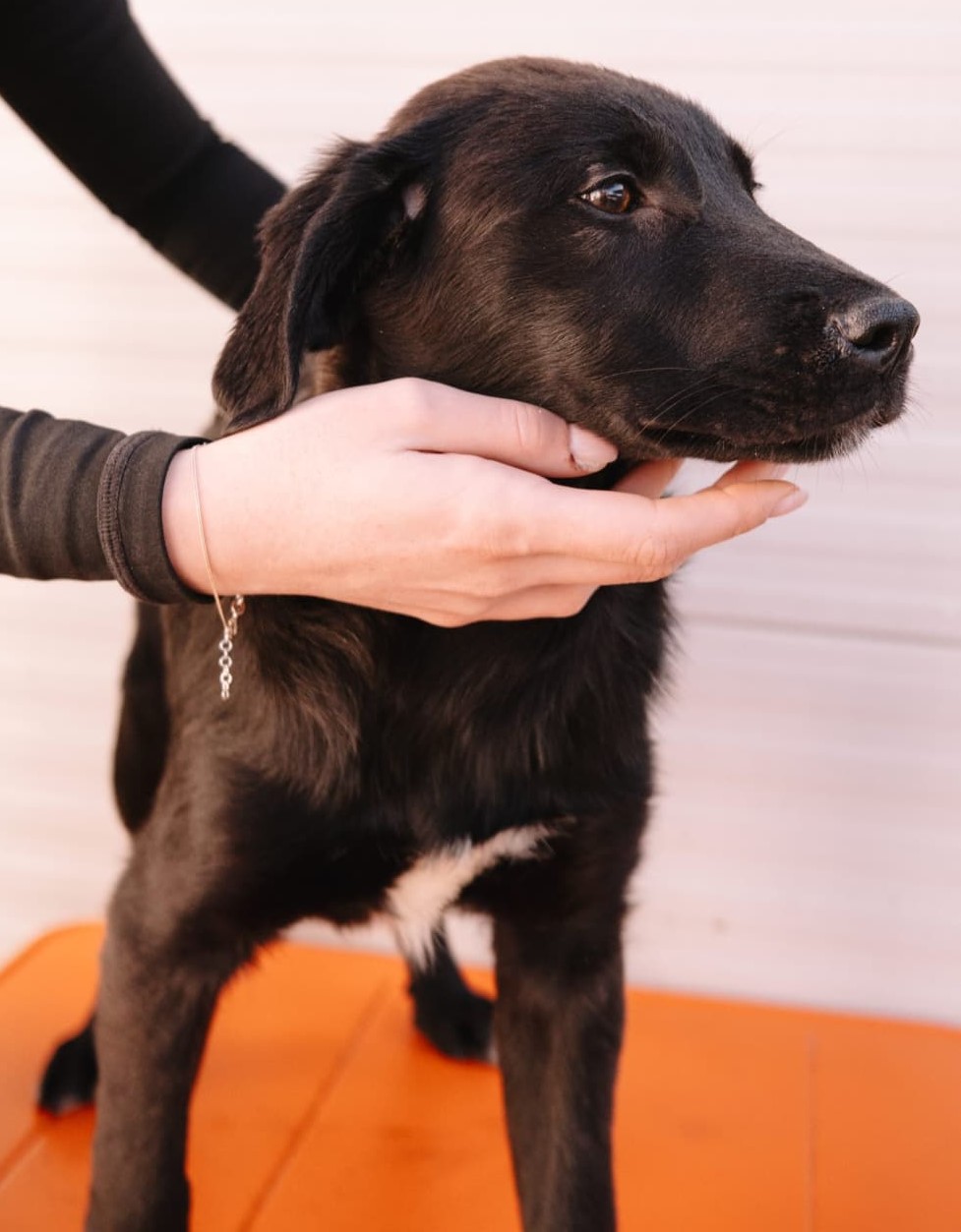 Peanut, neues Foto April 2026