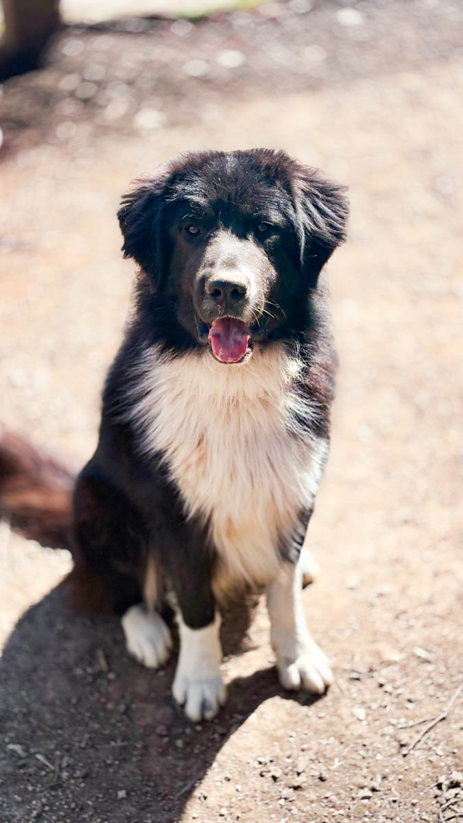 neues Foto April 2026