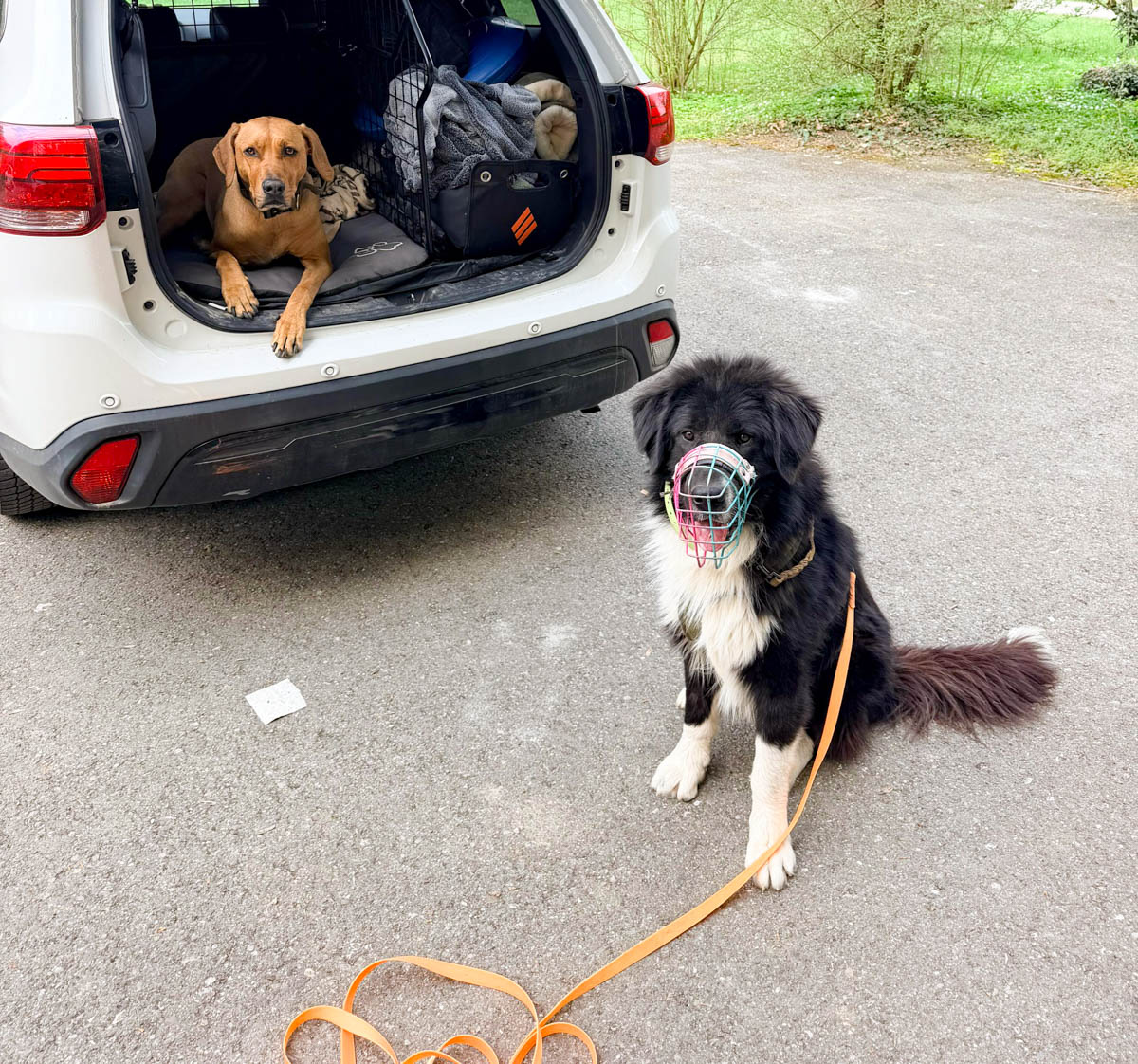 neues Foto April 2026