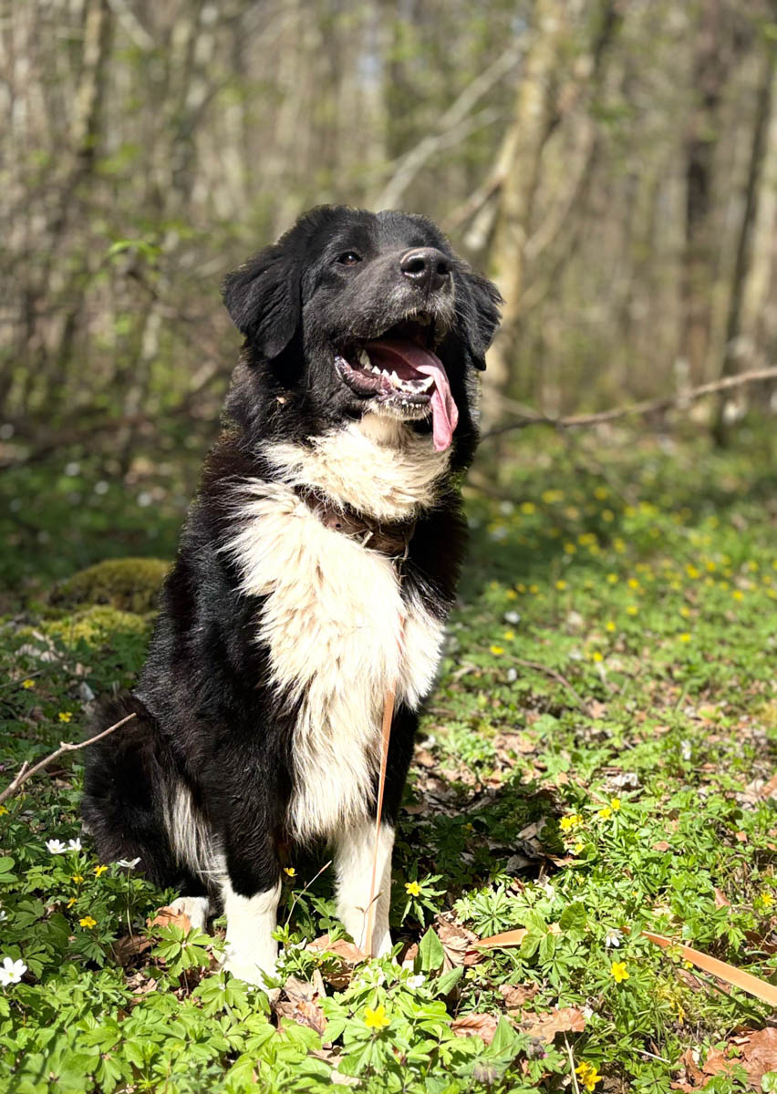 neues Foto April 2026