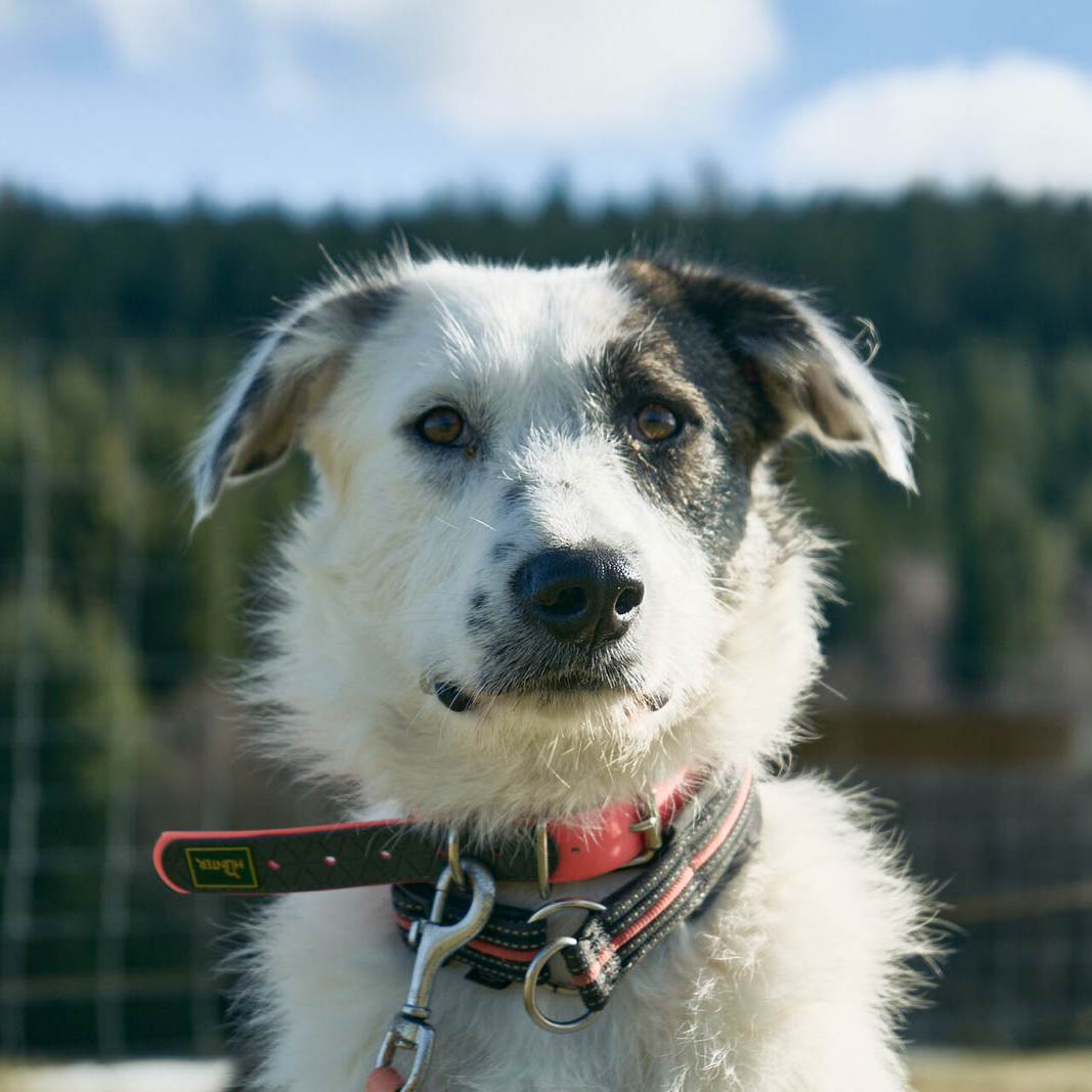 neues Foto April 2026