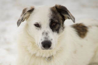 neues Foto April 2026