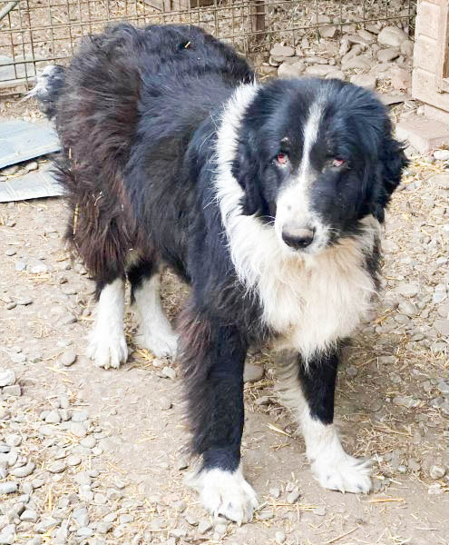 neues Foto April 2026