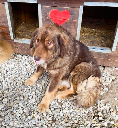 neues Foto April 2026