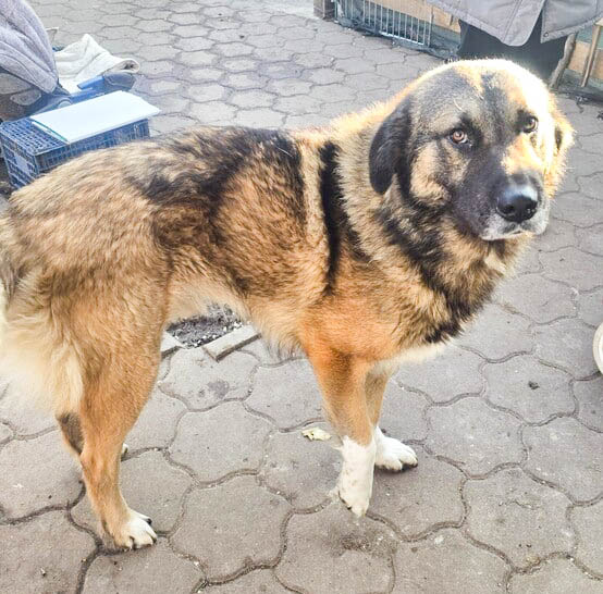 neues Foto April 2026