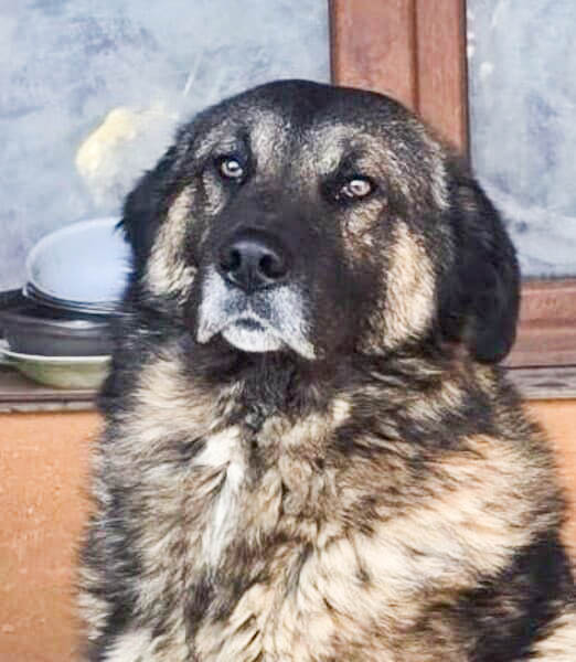 neues Foto April 2026