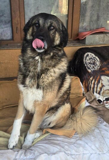 neues Foto April 2026