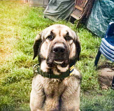 Tosun, neues Foto Mai 2026
