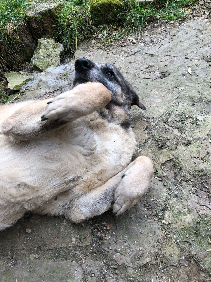 neues Foto Mai 2026