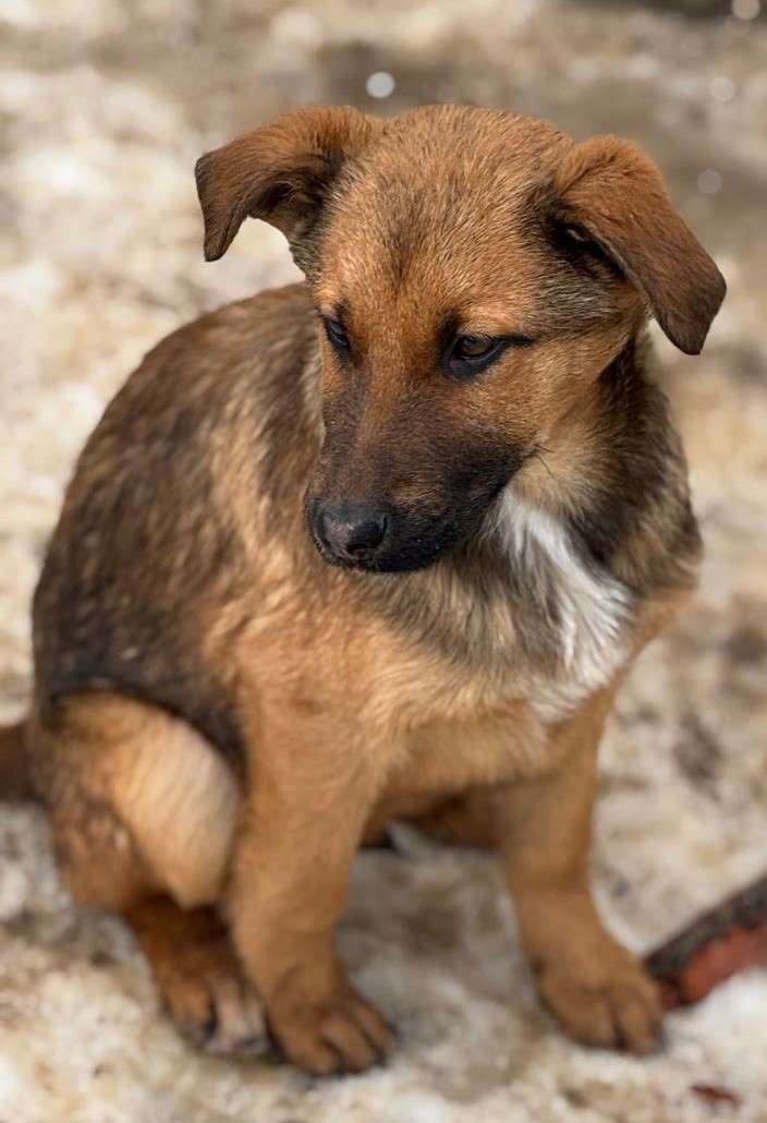 Dante, neues Foto Mai 2026