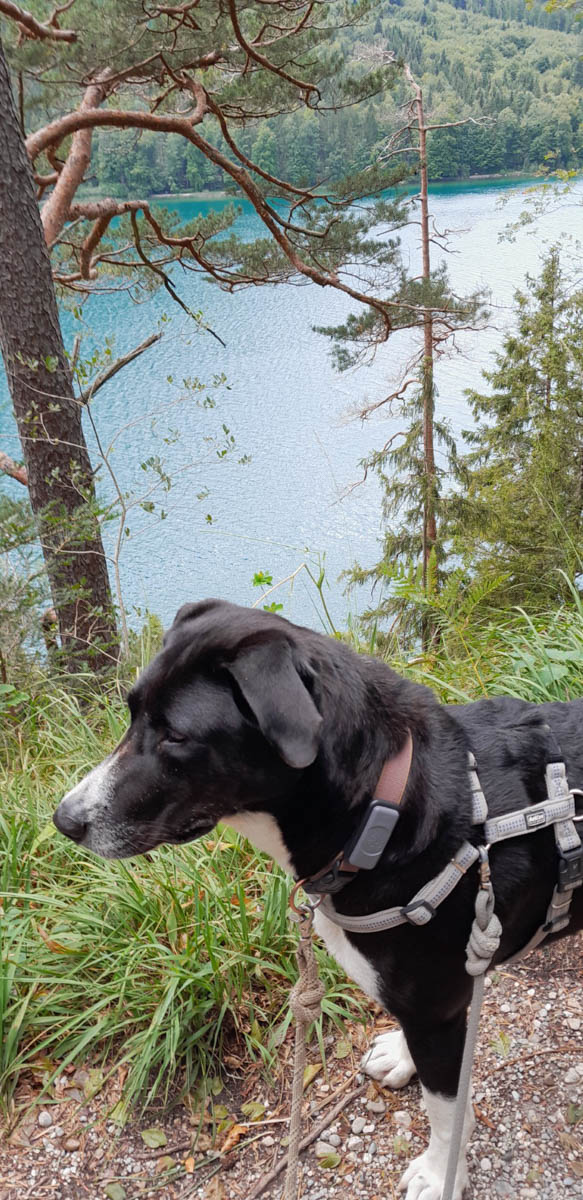neues Foto Mai 2026