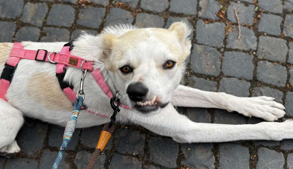 neues Foto Mai 2026