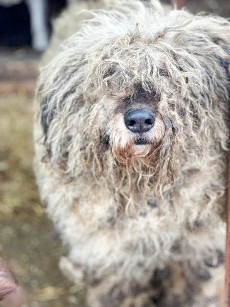 neues Foto Mai 2026