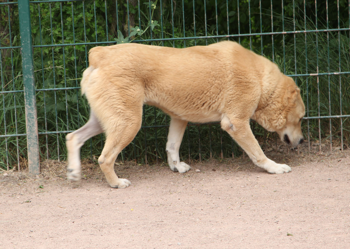 neues Foto Mai 2026
