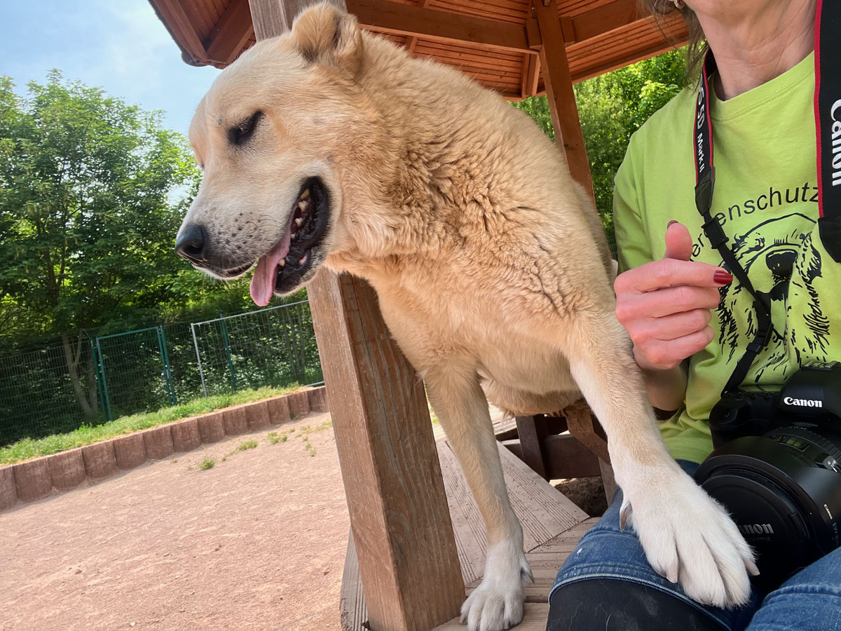 neues Foto Mai 2026 - "bitte auch von mir Fotos machen"