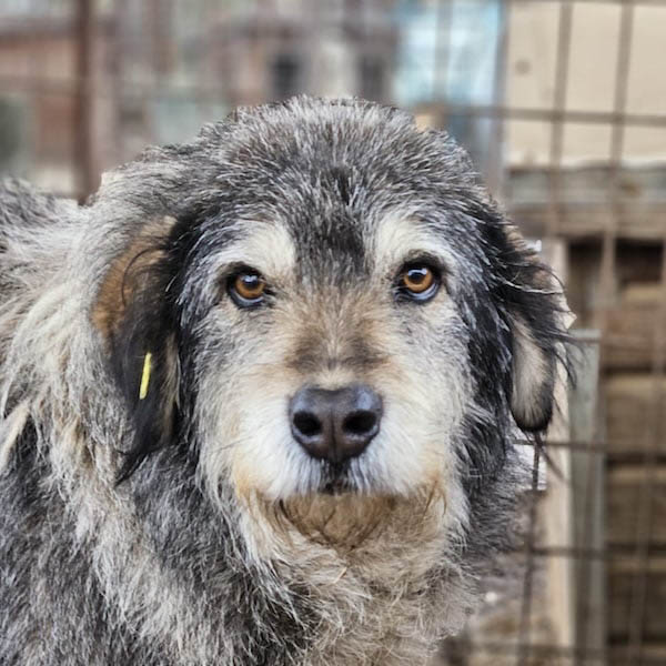 neues Foto Mai 2026