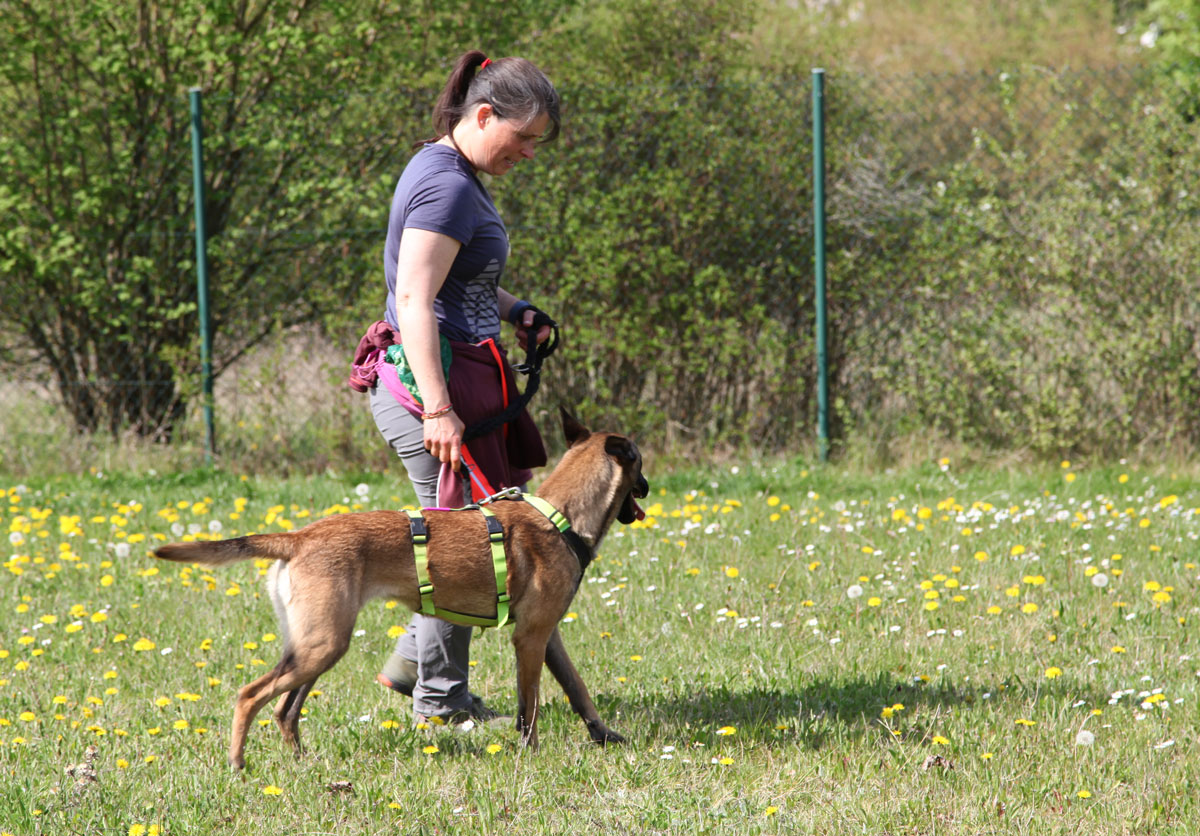 neues Foto Mai 2026 - Yonah war fleißig bei den Trainertagen dabei