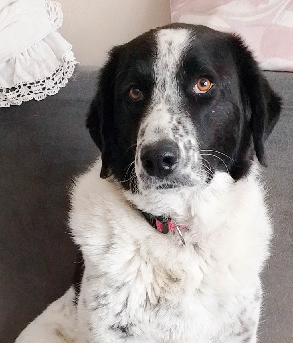 Mata, neues Foto Mai 2026