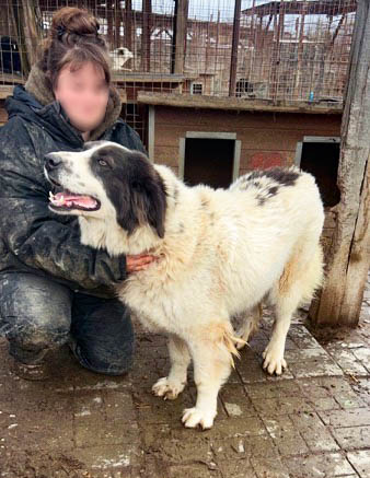 neues Foto Mai 2026
