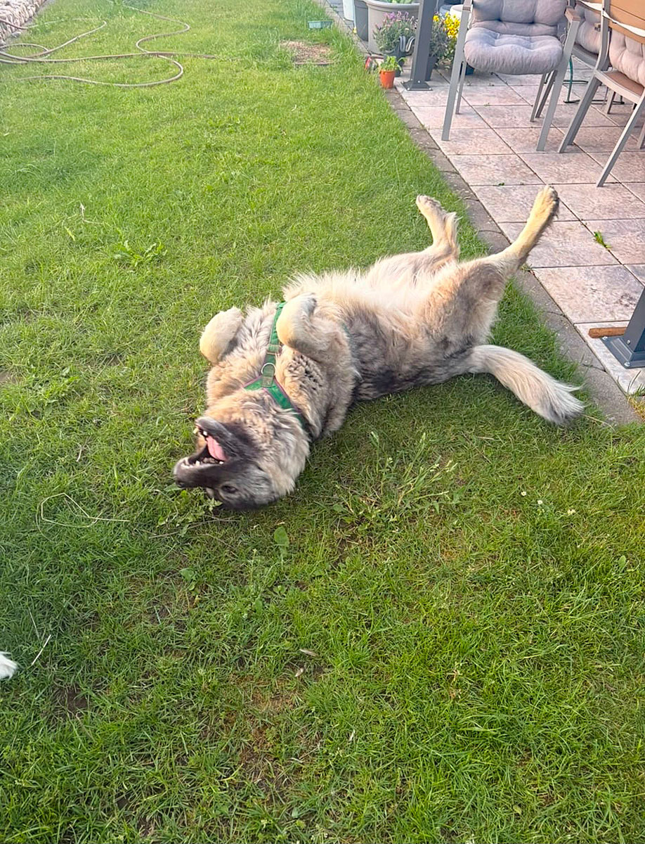 Mila überglücklich im neuen Zuhause