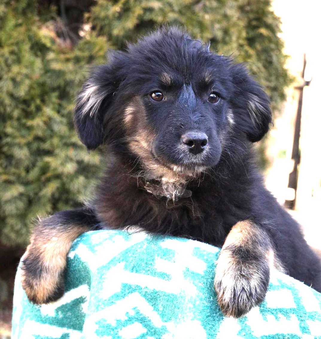 Mia, neues Foto Juni 2026